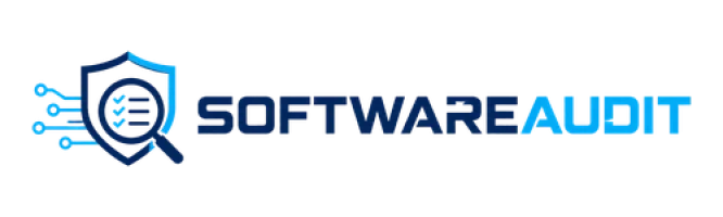 Software Audit
